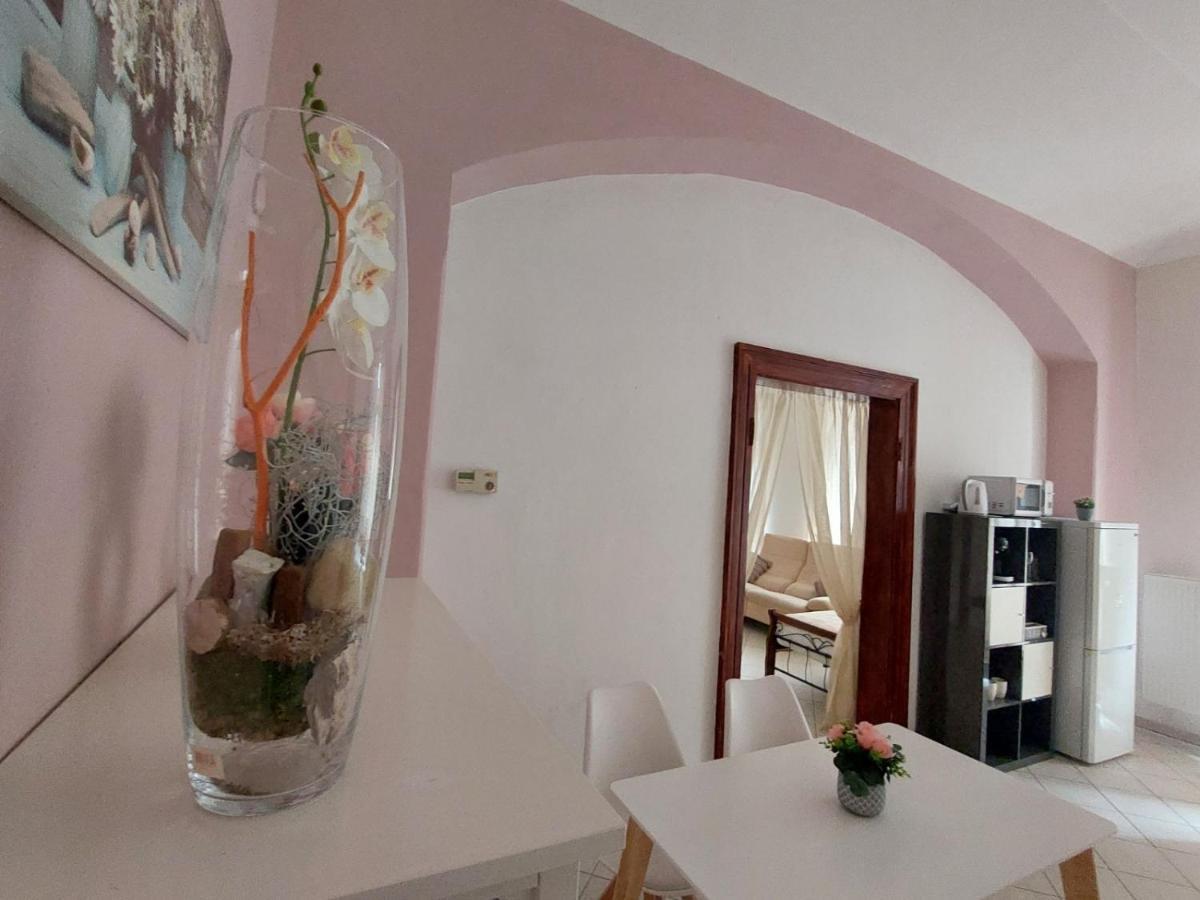 Exkluzivni Apartman V Prizemi V Hradci Kralove Hradec Kralove Exterior photo